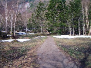 photo002