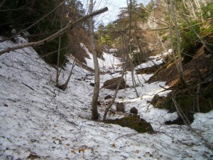 photo004