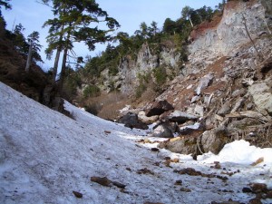 photo005