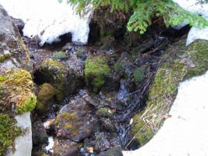 photo007