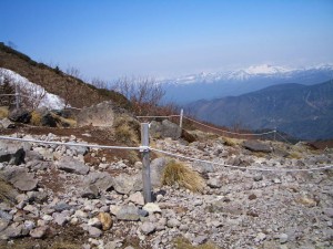 photo011