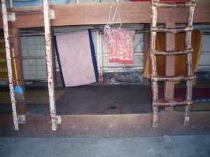 photo018