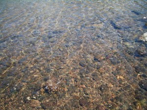 photo021