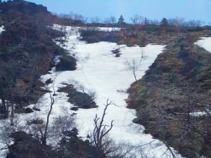 photo023