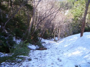 photo027